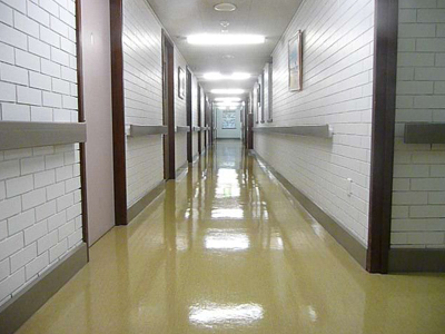 Child Care Cleaning Brisbane, Office Cleaning Aspley, Vinyl Floor Sealing Brackenridge, Medical Centre Cleaning Albany Creek, Stripping & Sealing Carseldine, Cleaning Services Bridgeman Downs
